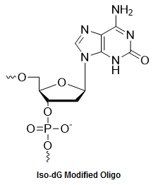 Bio-Synthesis Inc. Oligo Structure